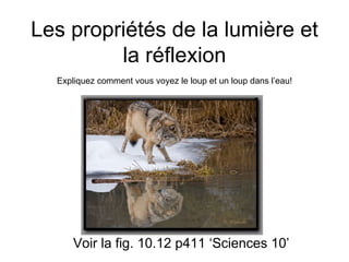 Les propriétés de la lumière et la réflexion Voir la fig. 10.12 p411 ‘Sciences 10’ Expliquez comment vous voyez le loup et un loup dans l’eau! 