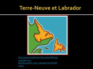 http://www.tripadvisor.fr/LocationPhotos
-g154962-w2-
Newfoundland_and_Labrador.html#168
15914
 
