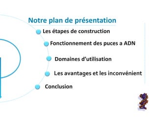 Les étapes de construction
Fonctionnement des puces a ADN
Domaines d’utilisation
Les avantages et les inconvénient
Conclusion
Notre plan de présentation
 