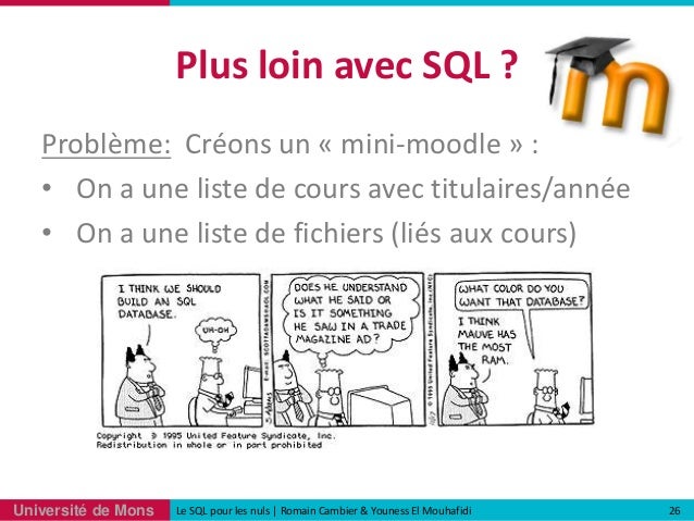 Le Sql Pour Les Nuls