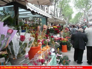 La Rambla de las Flores numerosas paradas juntas dan un colorido único
 