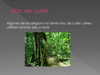 Algunes de les religions no tenen lloc de culte i altres
utilitzen el bosc per a resar.
 