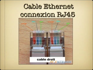 Cable Ethernet connexion RJ45  