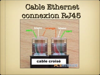 Cable Ethernet connexion RJ45  