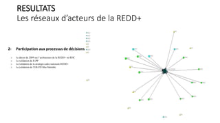 Les réseaux d’acteurs de la REDD+ en RDC