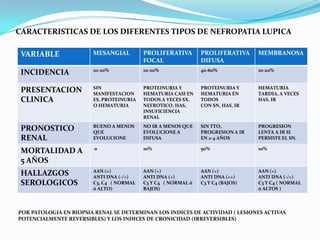 CARACTERISTICAS DE LOS DIFERENTES TIPOS DE NEFROPATIA LUPICA

 VARIABLE               MESANGIAL         PROLIFERATIVA     ...