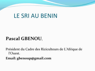 LE SRI AU BENIN


Pascal GBENOU,

Président du Cadre des Riziculteurs de L’Afrique de
  l’Ouest.
Email: gbenoup@gmail.com
 