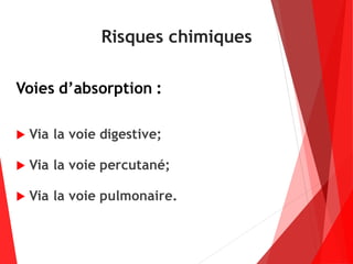 Risques chimiques
Voies d’absorption :
 Via la voie digestive;
 Via la voie percutané;
 Via la voie pulmonaire.
 