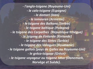 - l'anglo-tsigane (Royaume-Uni)
- le calo-tsigane (Espagne)
- le domari (Iran)
- le lomavren (Arménie)
- le tsigane des Balkans (Serbie)
- le tsigane baltique (Pologne)
- le tsigane des Carpathes (République tchèque)
- le tsigane de Finlande (Finlande)
- le tsigane des Sintes (Serbie)
- le tsigane des Valaques (Roumanie)
- le tsigane gallois (pays de Galles au Royaume-Uni)
- le gréco-tsigane (Grèce)
- le tsigane voyageur ou tsigane tatar (Danemark,
Norvège et Suède).
 