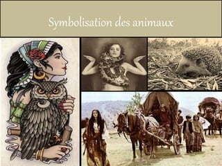 Symbolisation des animaux
 