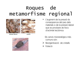 Roques de
metamorfisme regional
           • L’augment de la pressió és
             conseqüencia del pes dels
             materials o de la pressió lateral
             que es produeix als llocs
             d’activitat tectònica.

             Els canvis mioneralògics més
              comuns són:
            Reorganització de cristalls
            Foliació
 