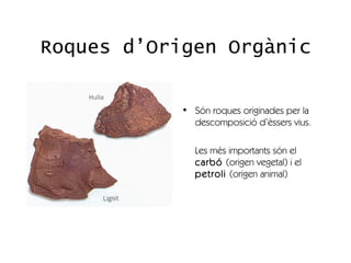 Roques d’Origen Orgànic


            • Són roques originades per la
              descomposició d’èssers vius.

               Les més importants són el
               carbó (origen vegetal) i el
               petroli (origen animal)
 