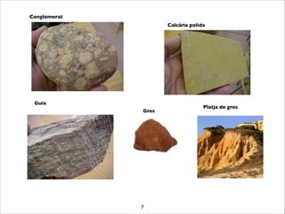 7
Conglomerat
Calcària polida
Guix
Platja de gres
Gres
 