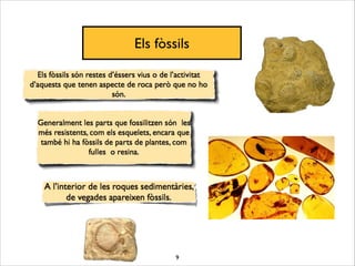 9
Els fòssils
 
