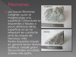  Les roques filonianes 
s'originen quan el 
magma puja a la 
superfície i s'introdueix en 
esquerdes o fissures a 
poca distància de la 
superfície on es va 
refredant en contacte 
amb les roques de 
l'escorça, més 
fredes.Aquestes roques 
en general tenen textura 
porfírica: cristalls grans 
(fenocristales) envoltats 
d'altres més petits. 
PORFIDO 
APLITA 
 