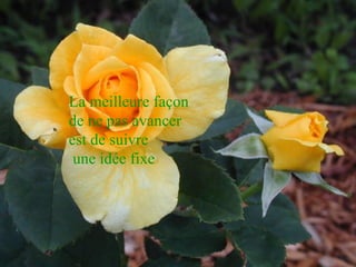 La meilleure façon
de ne pas avancer
est de suivre
une idée fixe