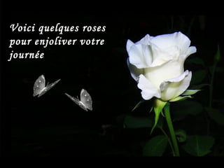 Les Roses