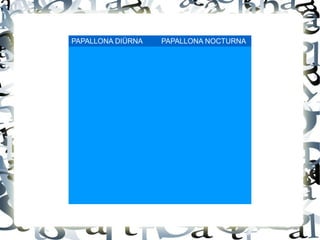 PAPALLONA DIÜRNA PAPALLONA NOCTURNA
 