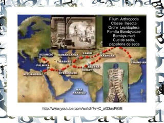 Fílum Arthropoda
Classe Insecta
Ordre Lepidoptera
Familia Bombycidae
Bombyx mori
Cuc de seda,
papallona de seda
http://www.youtube.com/watch?v=C_aG3asFiGE
 