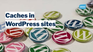 Caches in
WordPress sites
 
