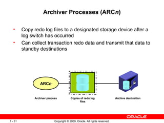 Archiver Processes (ARCn)

  •      Copy redo log files to a designated storage device after a
         log switch has occurred
  •      Can collect transaction redo data and transmit that data to
         standby destinations




                  ARCn


               Archiver process           Copies of redo log                  Archive destination
                                                files




1 - 31                       Copyright © 2009, Oracle. All rights reserved.
 