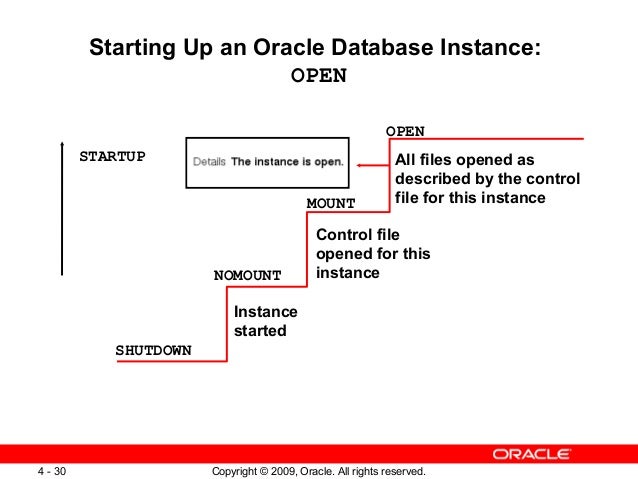 start database