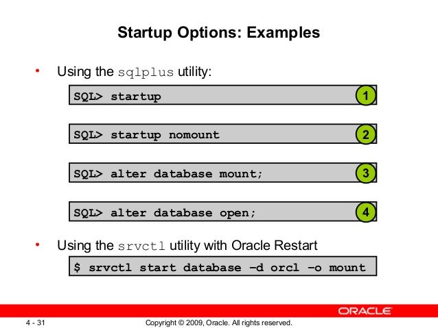 start database