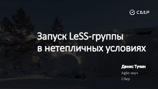Запуск LeSS-группы
в нетепличных условиях
Денис Тучин
Agile-коуч
Сбер
 
