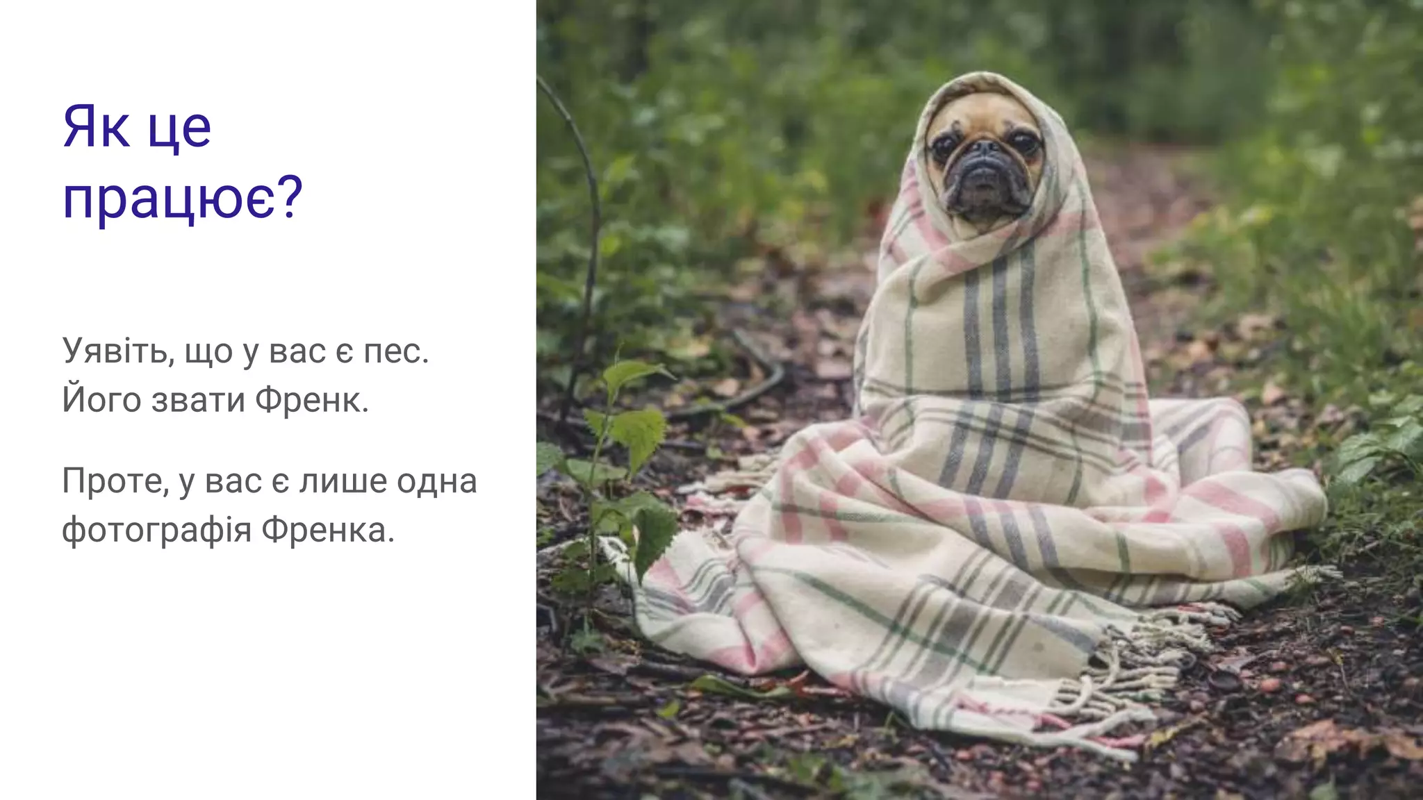 Як це
працює?
Уявіть, що у вас є пес.
Його звати Френк.
Проте, у вас є лише одна
фотографія Френка.
 