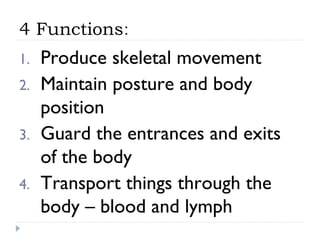 4 Functions:
1.   Produce skeletal movement
2.   Maintain posture and body
     position
3.   Guard the entrances and exits
     of the body
4.   Transport things through the
     body – blood and lymph
 
