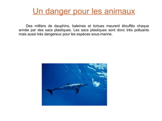 Un danger pour les animaux Des milliers de dauphins, baleines et tortues meurent étouffés chaque année par des sacs plastiques. Les sacs plastiques sont donc très polluants mais aussi très dangereux pour les espèces sous-marine.  