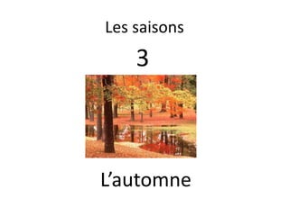Les saisons3L’automne