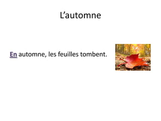 L’automneEnautomne, les feuilles tombent.