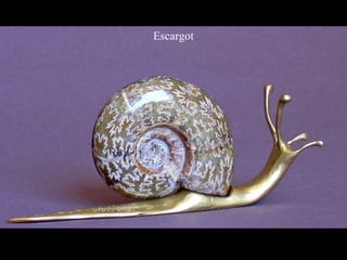 Escargot
 