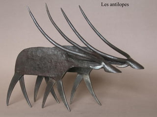 Les antilopes
 