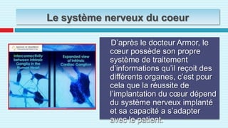 Le système nerveux du coeurD’après le docteur Armor, le cœur possède son propre système de traitement d’informations qu’il reçoit des différents organes, c’est pour cela que la réussite de l’implantation du cœur dépend du système nerveux implanté et sa capacité a s’adapter avec le patient.