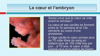 Le cœur et l’embryonSavez-vous que le cœur se crée avant le cerveau?Le cœur et ses cavités se forment entre la 7e semaine et la 12e semaine au cours d’une grossesse. A l’âge adulte le cœur pompe plus de 70 mille litres de sang en battant plus de 100 mille fois par jour…à 70 ans, le cœur a déjà pompé plus d’un million de barils!