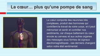 Le cœur… plus qu’une pompe de sangLe cœur comporte des neurones très complexes, produit des hormones qui contrôlent le travail de notre corps, et il peut mémoriser et sentir et contrôler nos sentiments, car chaque battement du cœur envoie au cerveau et aux autres organes des messages sous formes de signaux électromagnétiques , ces derniers changent selon notre état sentimental.