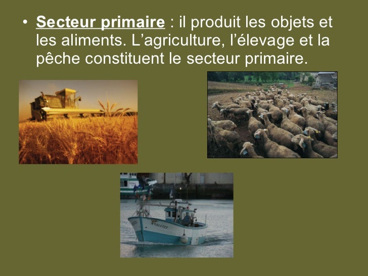 Les secteurs économiques