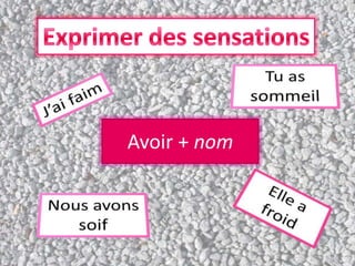 Avoir + nom
 