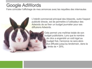 Google AdWords
Faire coïncider l’affichage de mes annonces avec les requêtes des internautes

L'intérêt commercial principal des Adwords, outre l'aspect
publicité directe, est de permettre à l'utilisateur des
Adwords de se fixer un budget journalier pour ses
diffusions Adwords.
Cela permet une maîtrise totale de son
budget publicitaire. Lors que le nombre
de clics a engendré un coût égal au
budget fixé, l'annonce ne sera alors
plus diffusée jusqu'au lendemain, dans la
limite de + 20%.

 