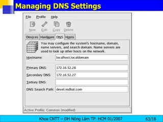 Managing DNS Settings  