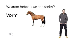 Waarom hebben we een skelet?
Vorm
 