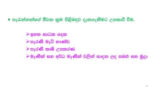  me/kakkaf.a cSjk l%u ms<sn|j oek.ekSug WmldÍ ùu'
by; idOl fol
merKs ueá NdKav
merKs lDIs WmlrK
ueKsla iy w¾O ueKsla j,ska idok ,o mn`t iy uqød
69
 