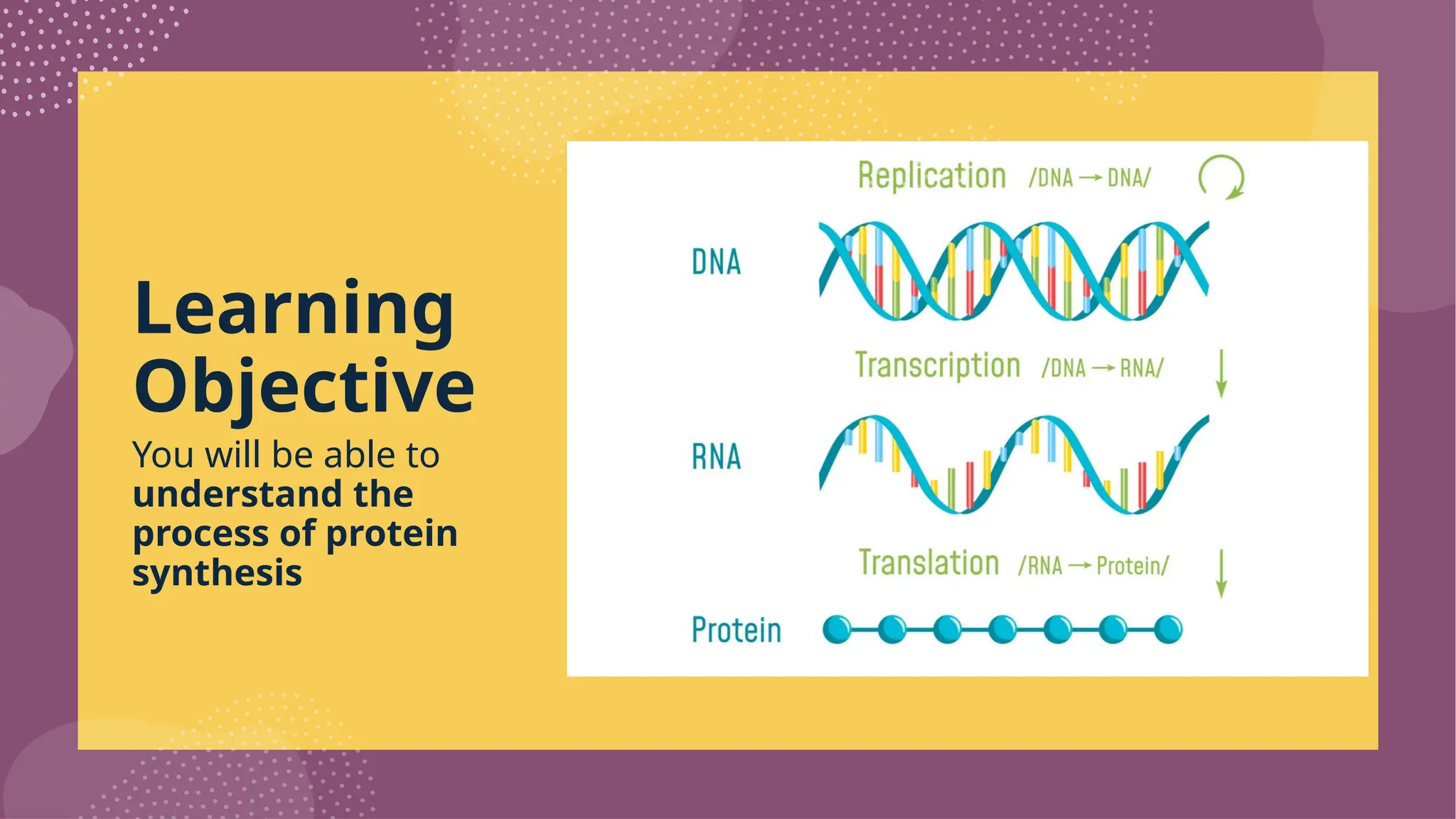 Lesson-02-grade-11-protein synthesis(Transcription).pptx