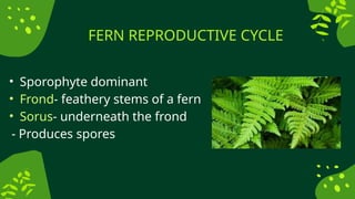 Reproductive structures of plants and animals | PPTX