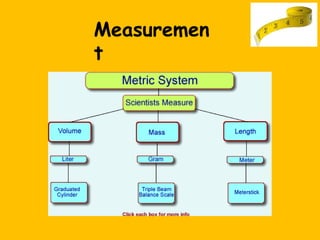 Measuremen
t