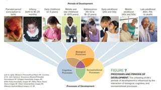Lesson-1.2-Stages-of-Human-Development.pdf