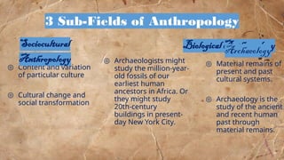 ◎ Content and variation
of particular culture
◎ Cultural change and
social transformation
◎ Material remains of
present and past
cultural systems.
◎ Archaeology is the
study of the ancient
and recent human
past through
material remains.
◎ Archaeologists might
study the million-year-
old fossils of our
earliest human
ancestors in Africa. Or
they might study
20th-century
buildings in present-
day New York City.
3 Sub-Fields of Anthropology
18
Sociocultural
Anthropology
Biological Anthropology
Archaeology
 