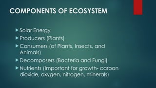 COMPONENTS OF ECOSYSTEM
 Solar Energy
 Producers (Plants)
 Consumers (of Plants, Insects, and
Animals)
 Decomposers (Bacteria and Fungi)
 Nutrients (Important for growth- carbon
dioxide, oxygen, nitrogen, minerals)
 